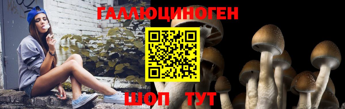 Галлюциногенные грибы GOLDEN TEACHER Вязьма